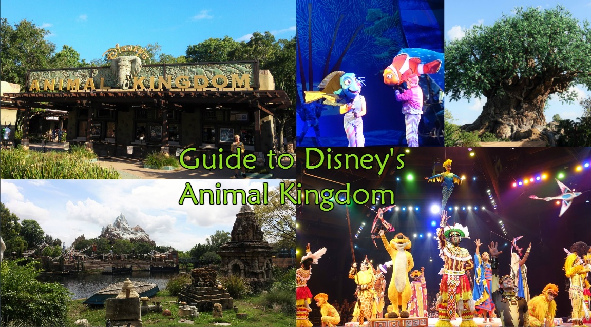 Guide to Animal Kingdom