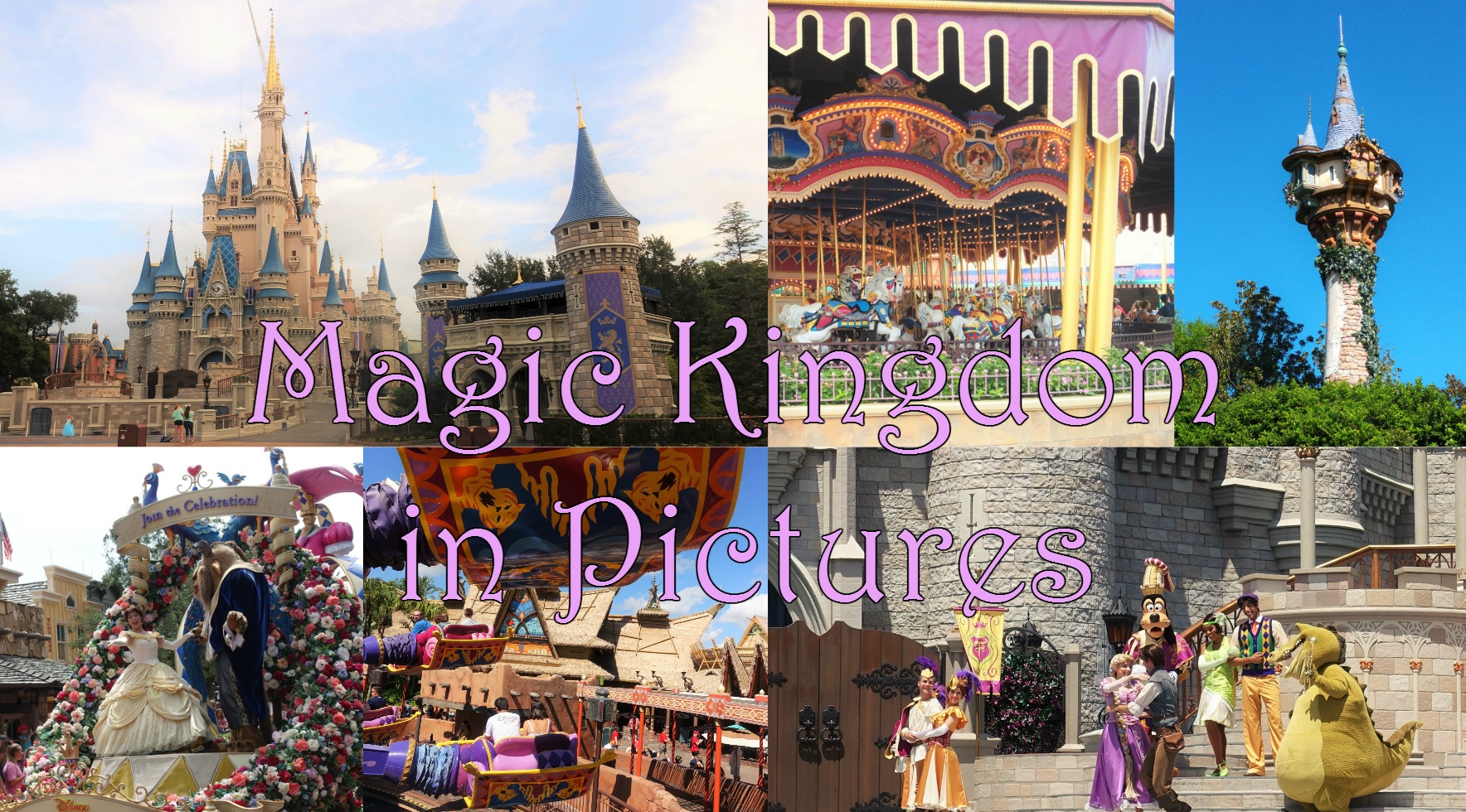 Magic Kingdom in Pictures